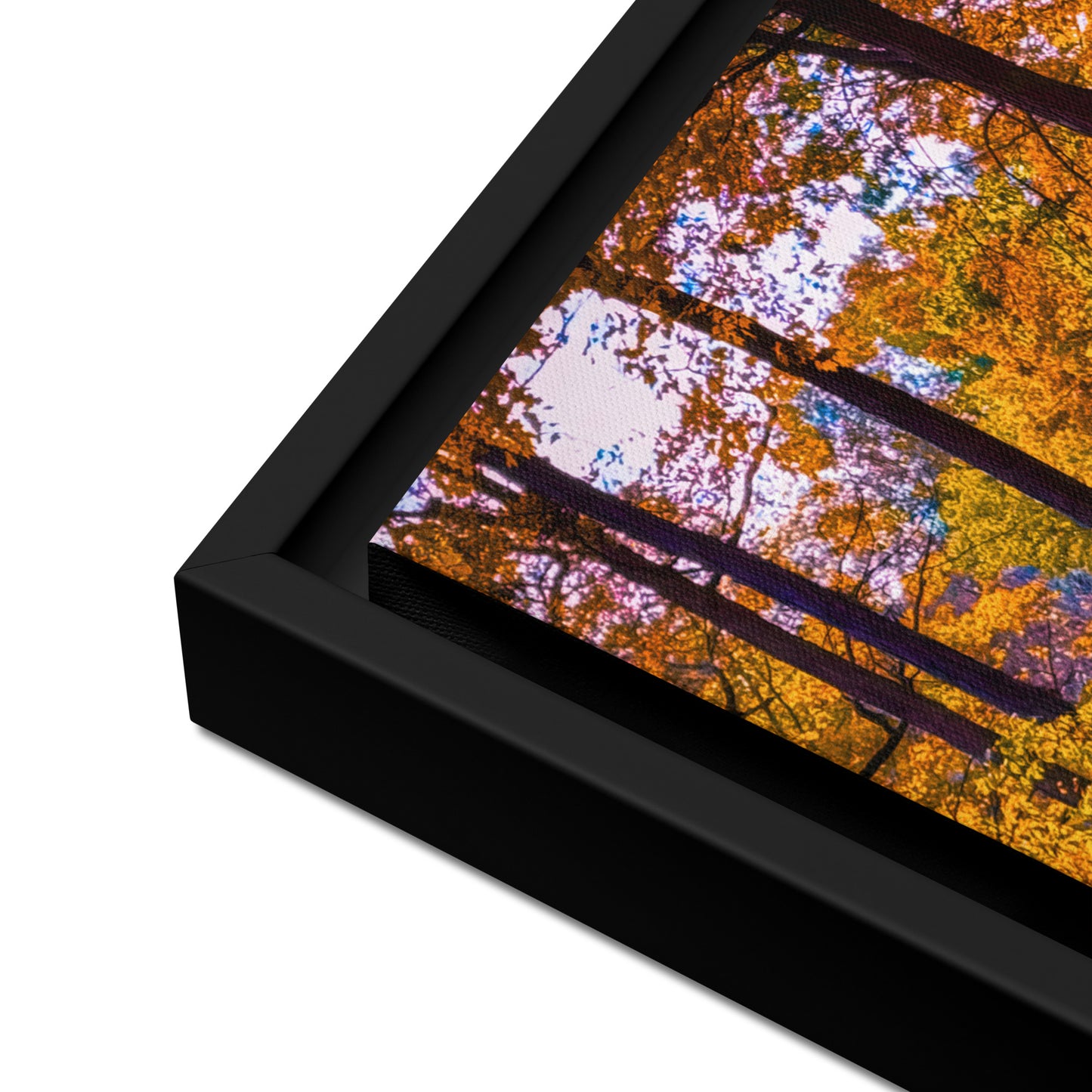 A Table for No One — Daniel Wright Forest Preserve | Framed Canvas Print