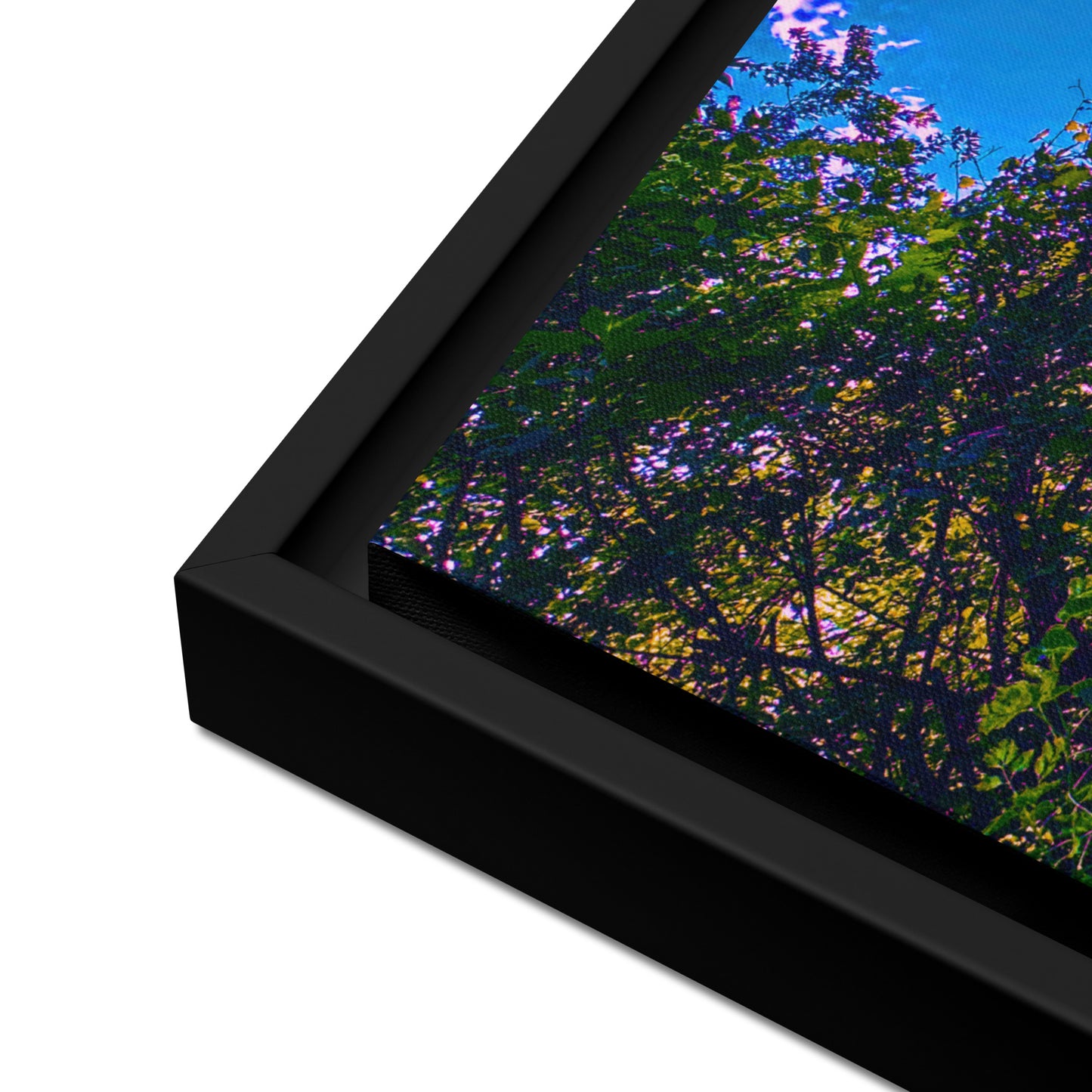 The Portal — Des Plaines River | Framed Canvas Print