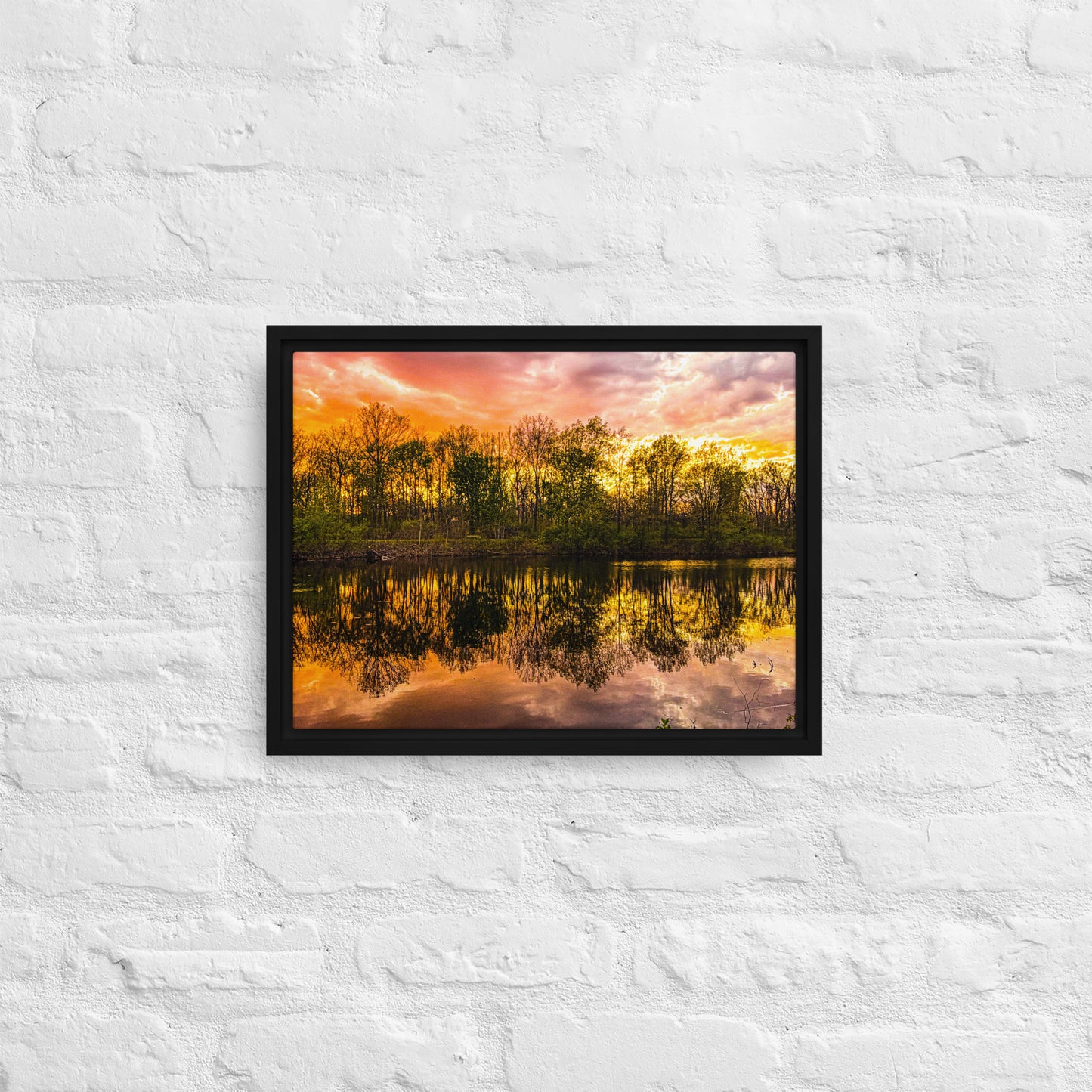 The Fire Pond — Daniel Wright Forest Preserve | Framed Canvas Print