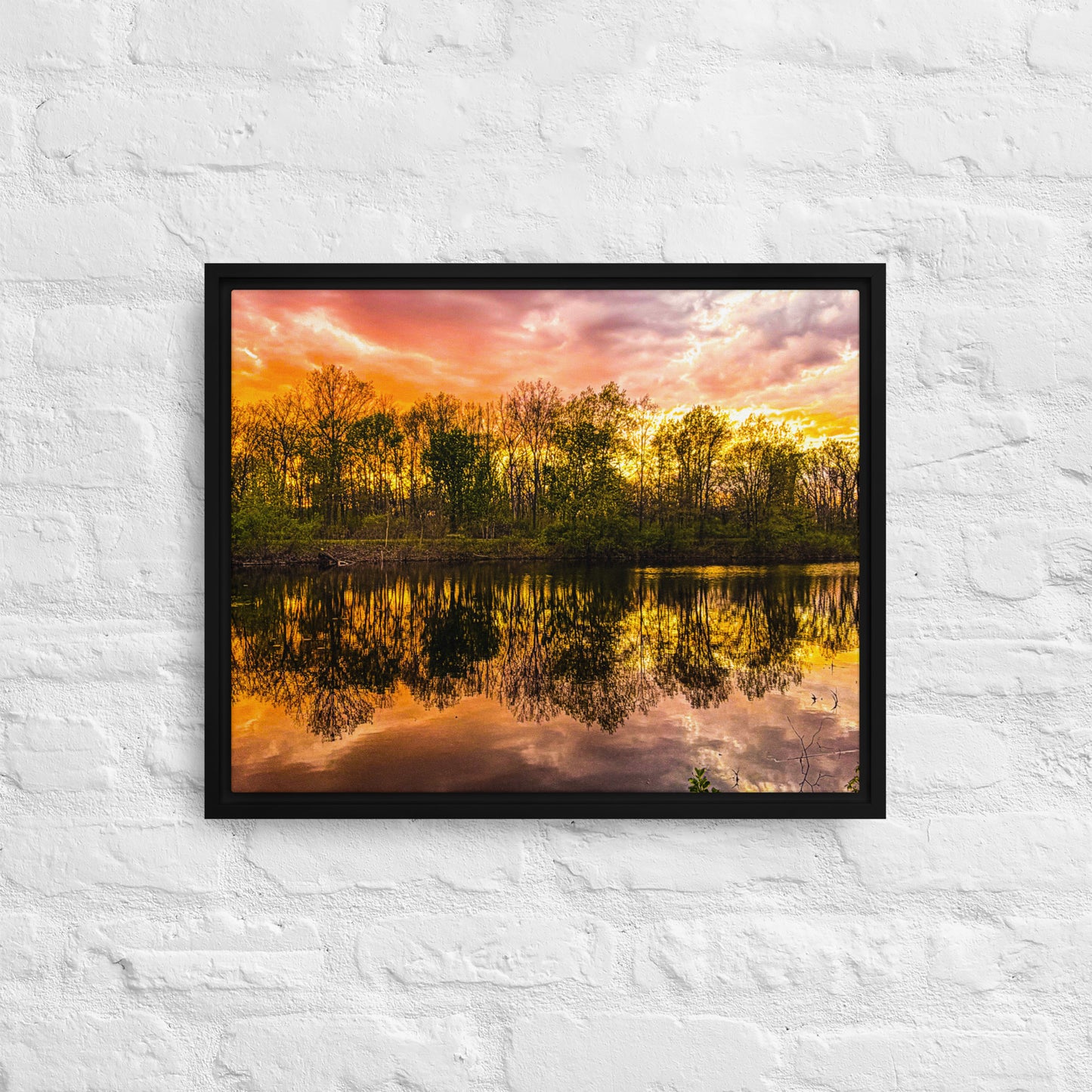 The Fire Pond — Daniel Wright Forest Preserve | Framed Canvas Print
