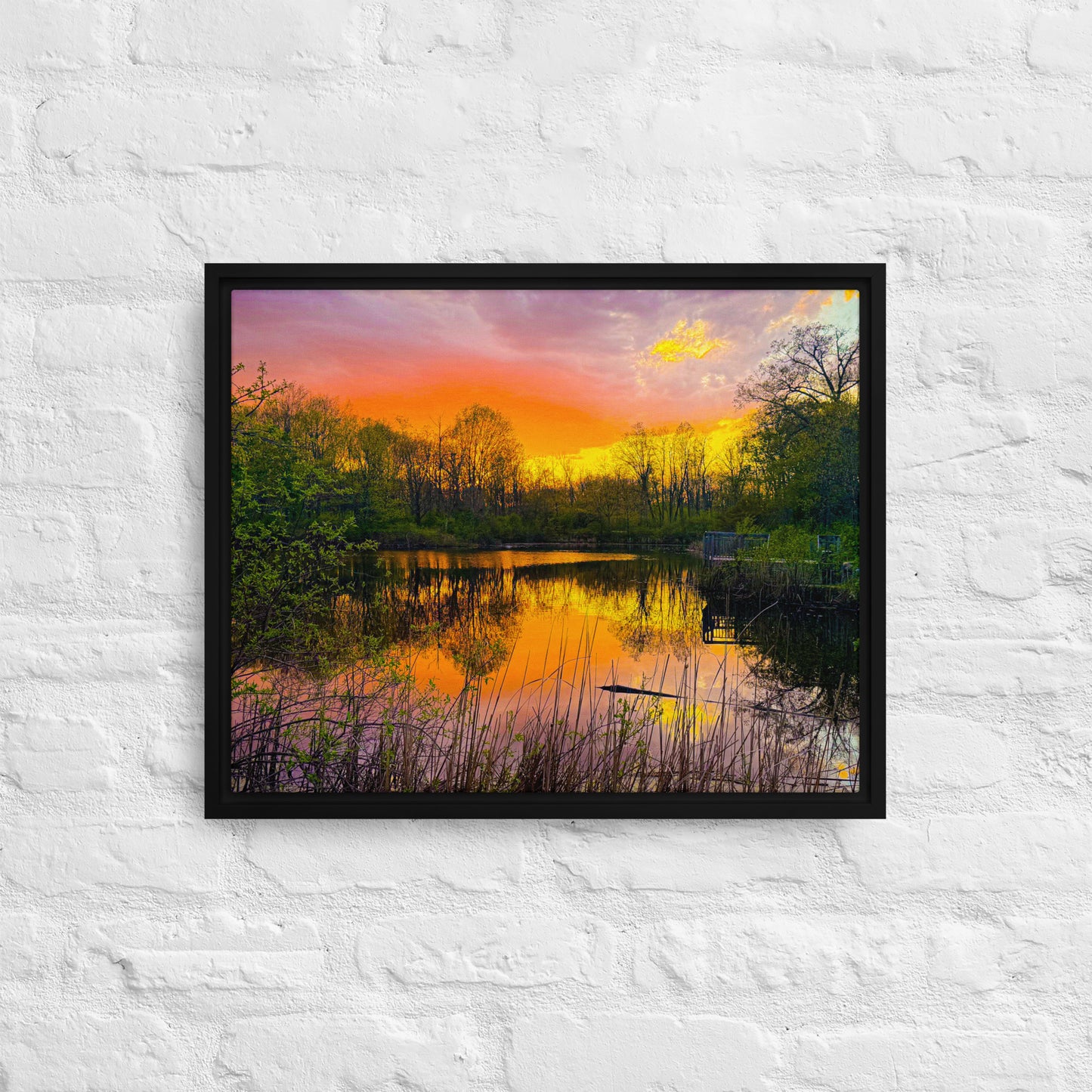 The Quiet Hour — Daniel Wright Forest Preserve | Framed Canvas Print