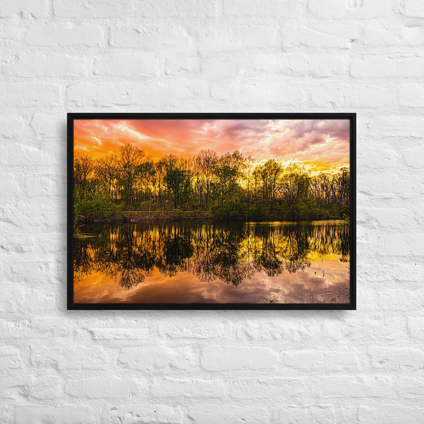 The Fire Pond — Daniel Wright Forest Preserve | Framed Canvas Print