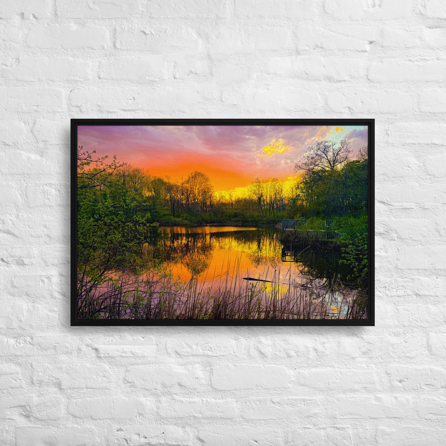 The Quiet Hour — Daniel Wright Forest Preserve | Framed Canvas Print