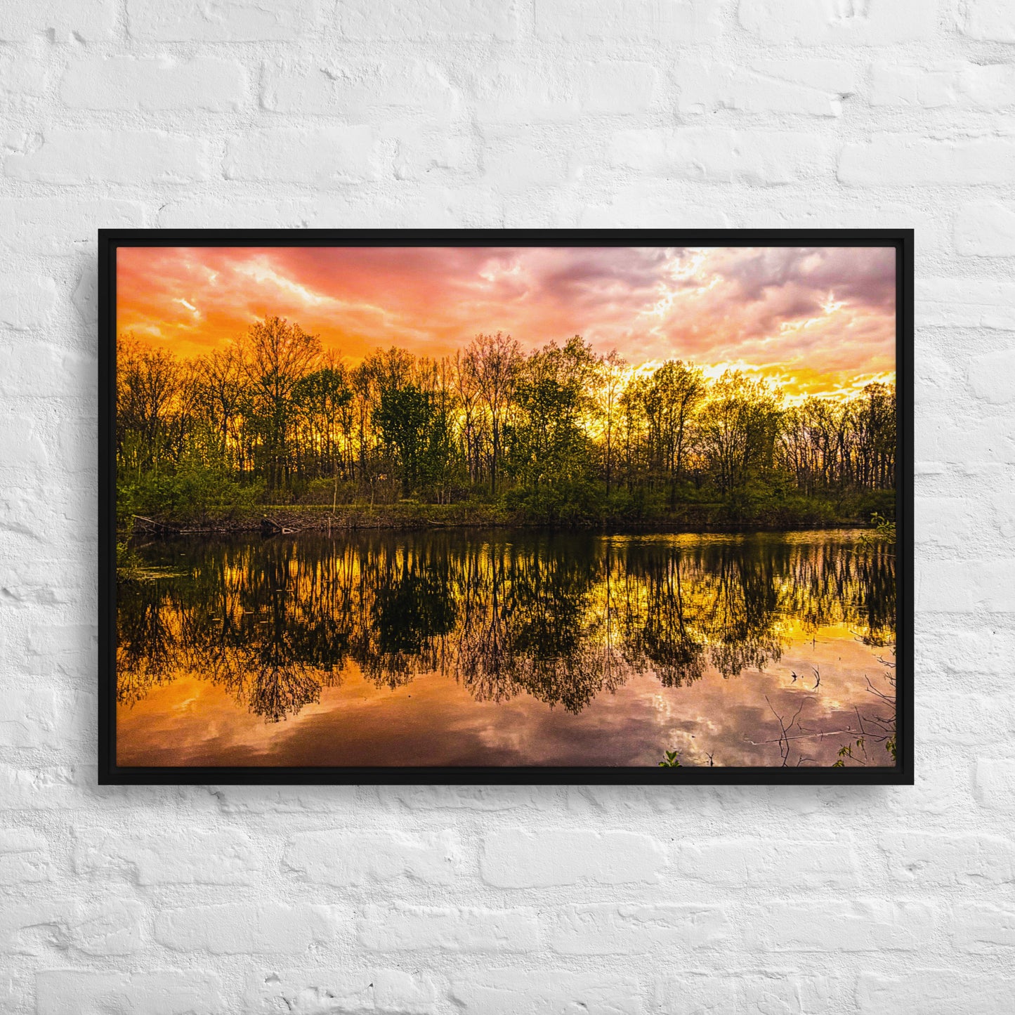 The Fire Pond — Daniel Wright Forest Preserve | Framed Canvas Print
