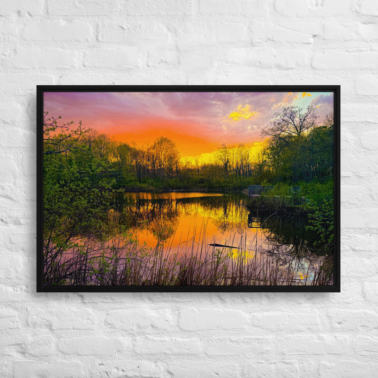 The Quiet Hour — Daniel Wright Forest Preserve | Framed Canvas Print