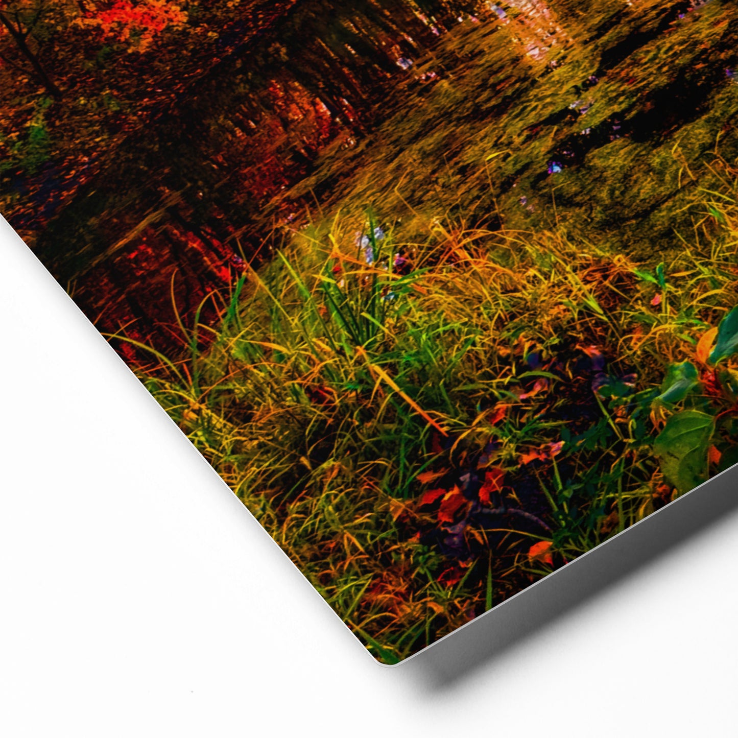 Fire and Water — Daniel Wright Forest Preserve | Metal Print