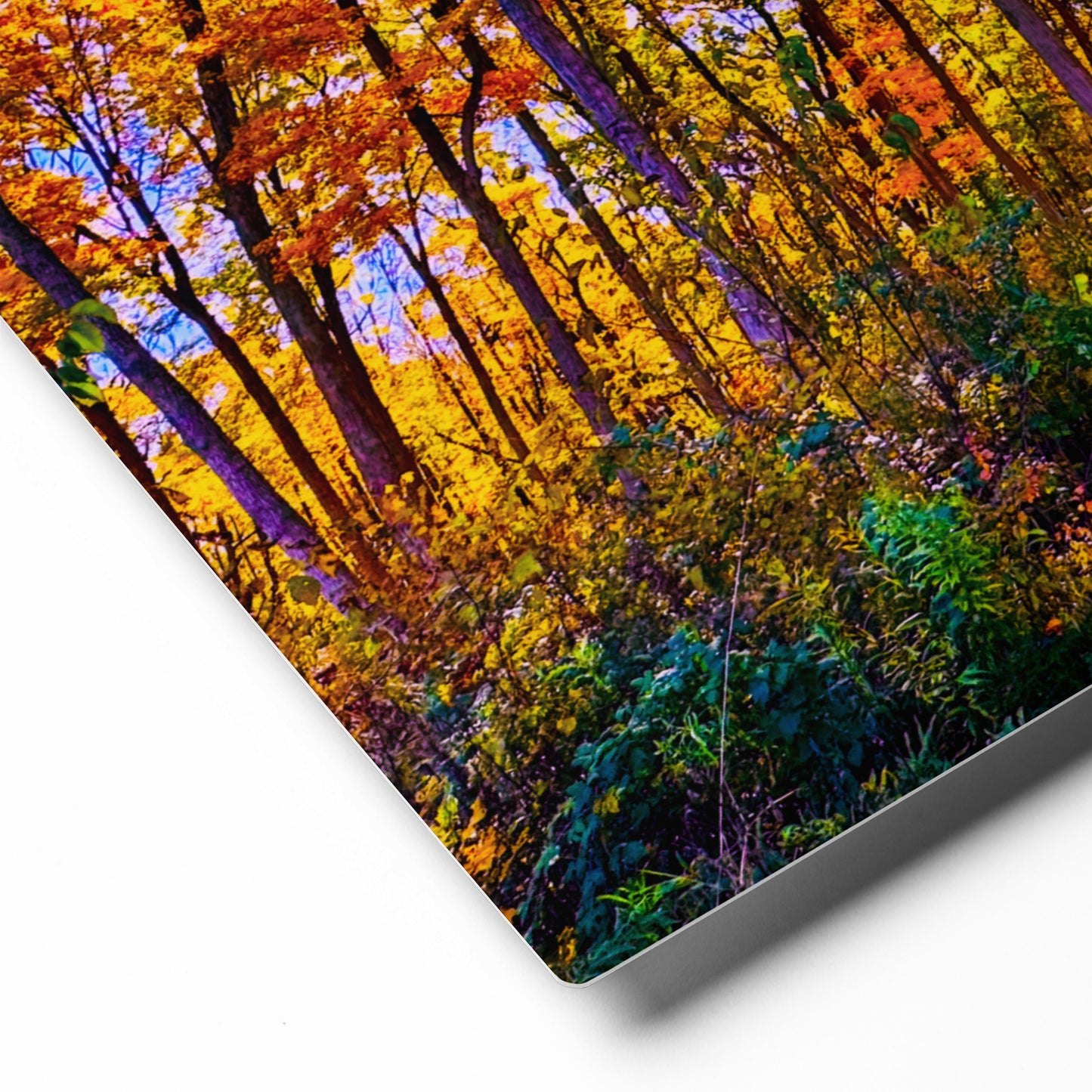 The Golden Hour Trail — Des Plaines River Trail | Metal Print