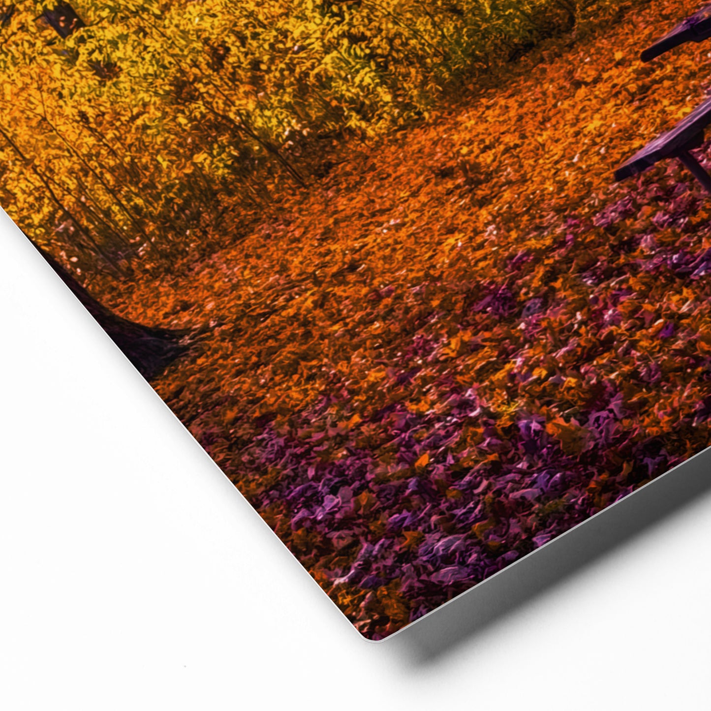 A Table for No One — Daniel Wright Forest Preserve | Metal Print