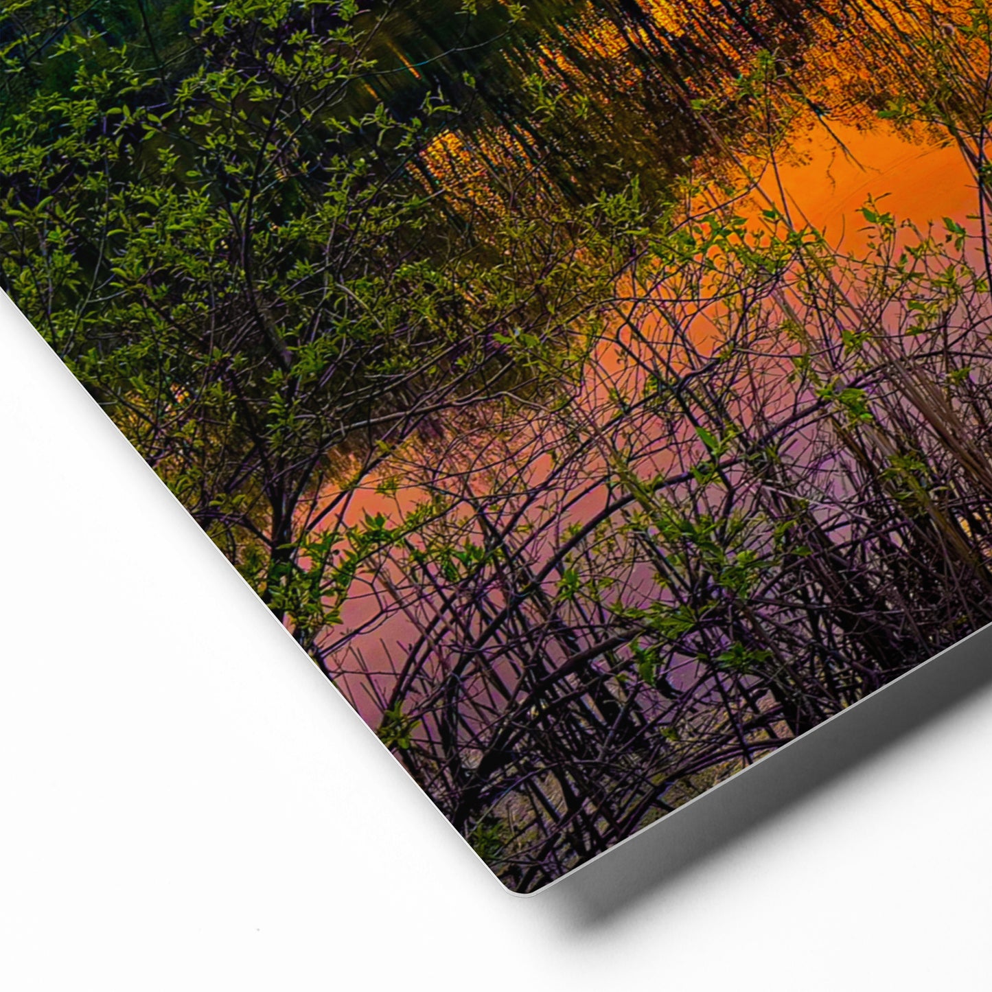 The Fire Pond — Daniel Wright Forest Preserve | Metal Print